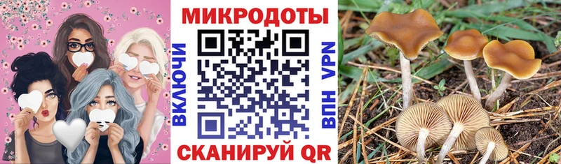 Псилоцибиновые грибы прущие грибы  Снежногорск 